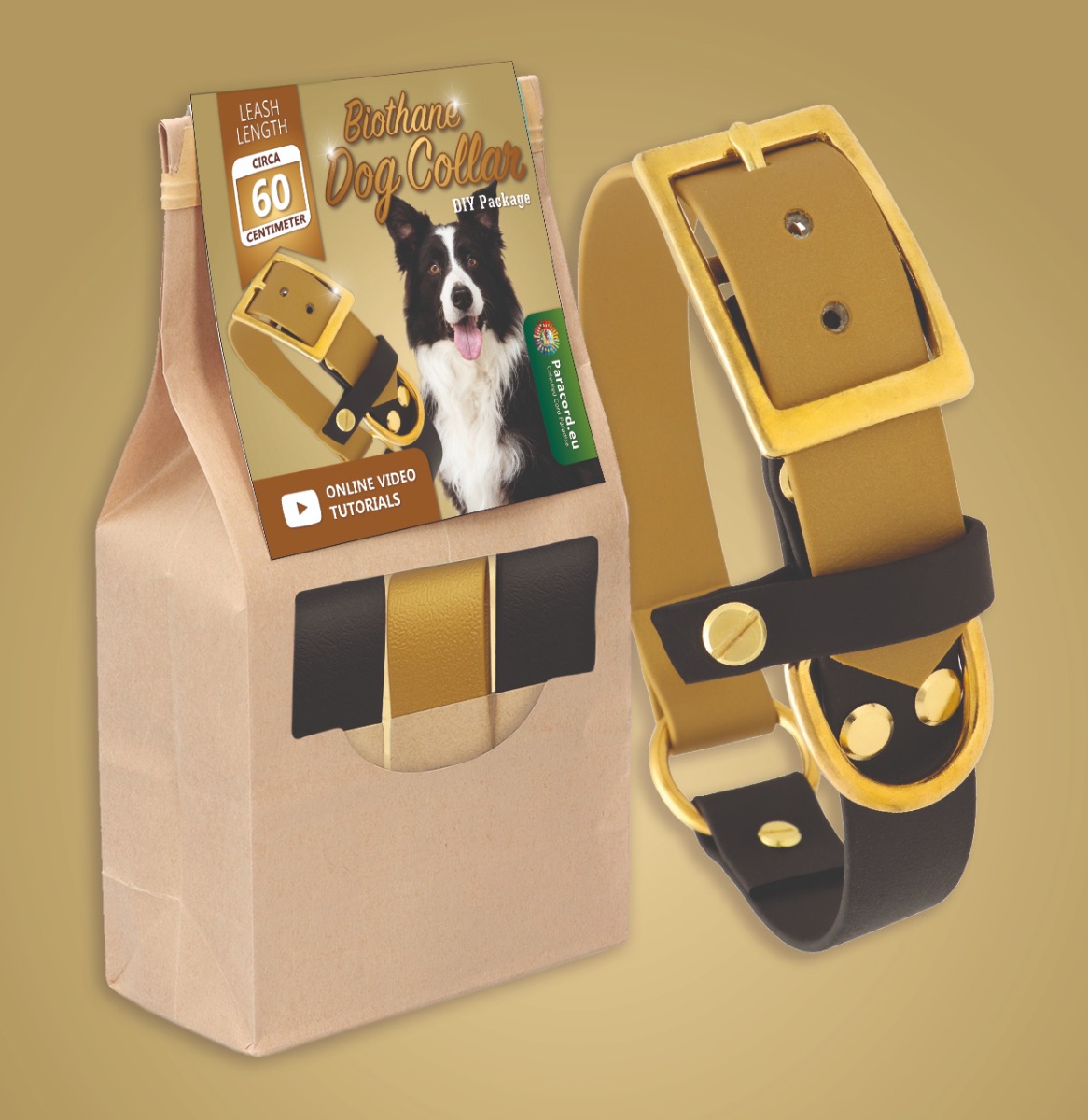 DIY kit paracord collar ''Glamour"