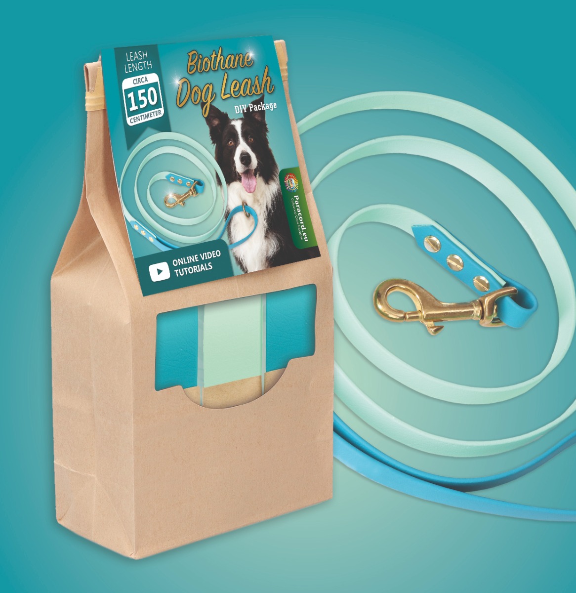 DIY kit Biothane leash ''Caribbean Lagune"