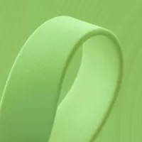 Verde pastel (GN529) BioThane 'BETA' ® 16 mm - 2,5 mm por metro
