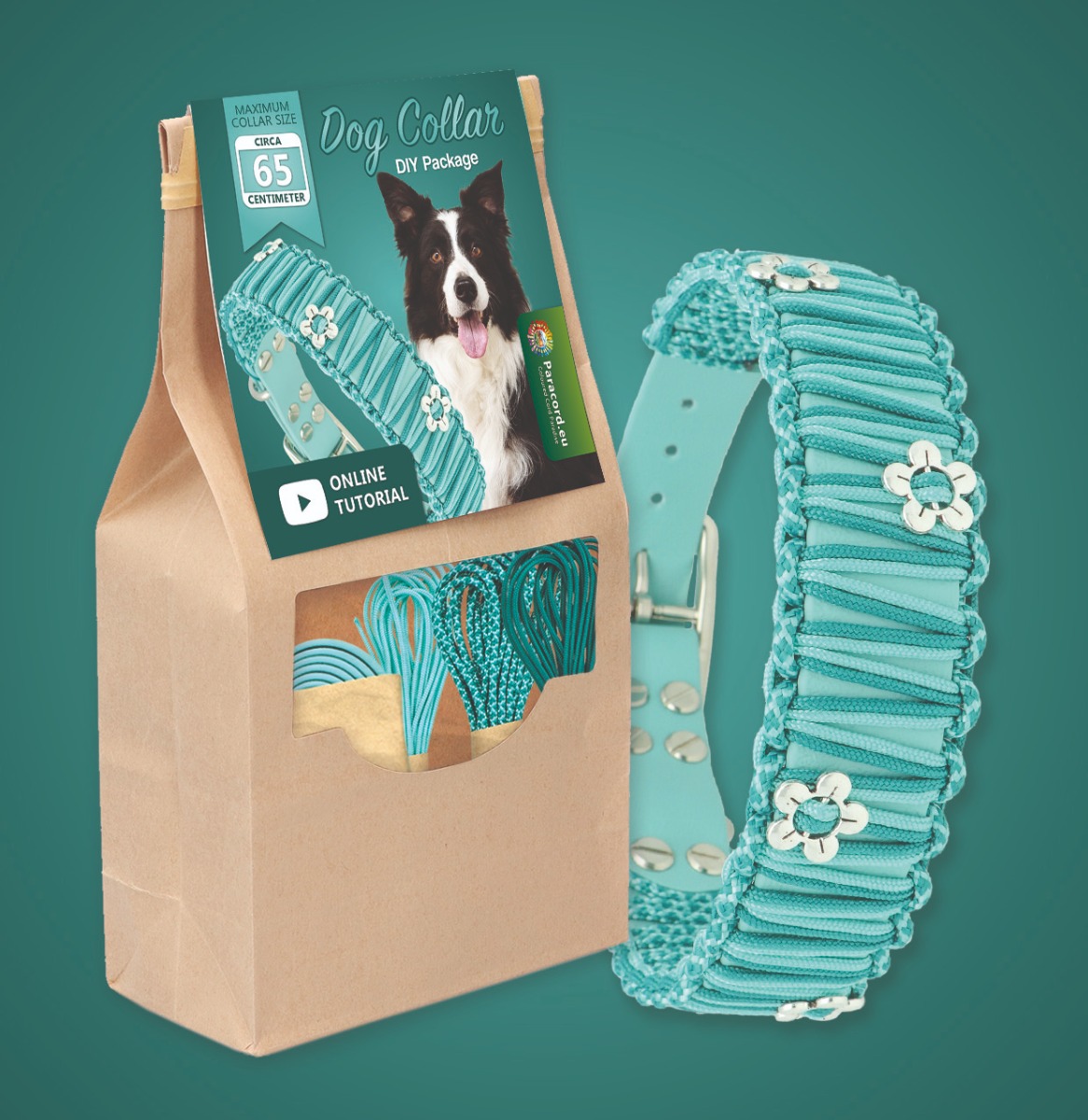 How to Make a Dog Collar Without Sewing: Easy DIY Guide